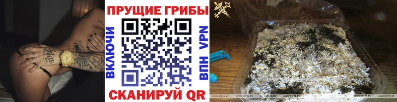 Купить  Ужур  Галлюциногенные грибы ЛСД 